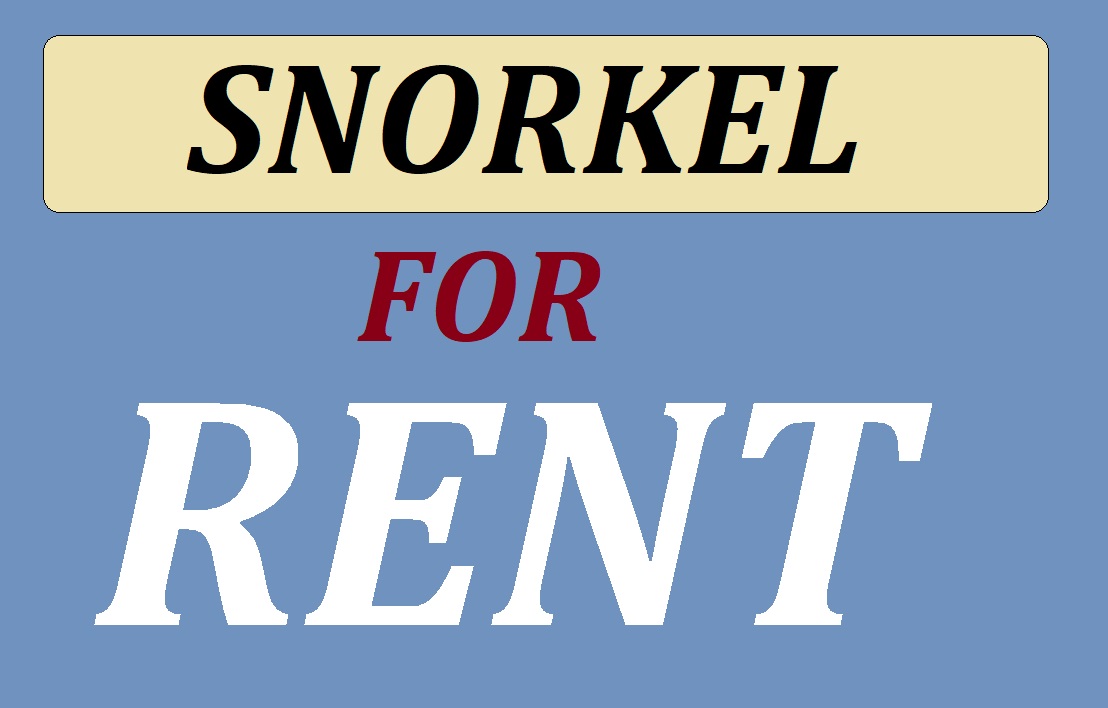 How to rent a snorkel mask?