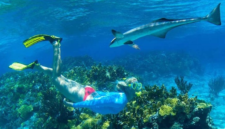 U.S Divers Regal Kids Snorkel Set fins